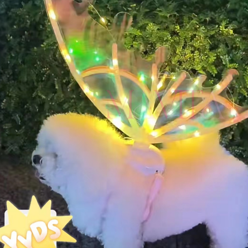 Asas de Fada com LED e Música: Encante-se com Brilho e Fantasia + Vestido