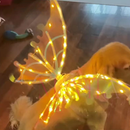 Asas de Fada com LED e Música: Encante-se com Brilho e Fantasia + Vestido