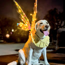 Asas de Fada com LED e Música: Encante-se com Brilho e Fantasia + Vestido